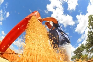 Agro